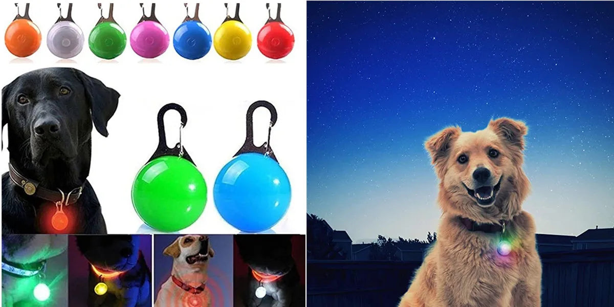 LED Rechargeable Dog Collar