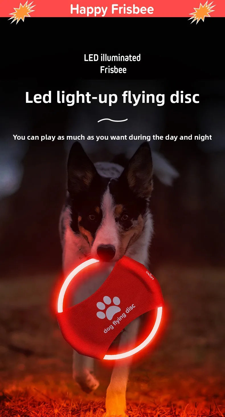 LED Light-Up Dog Frisbee