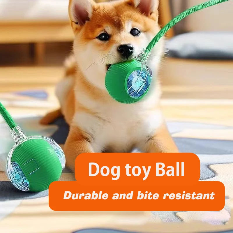 Automatic Interactive Dog Ball