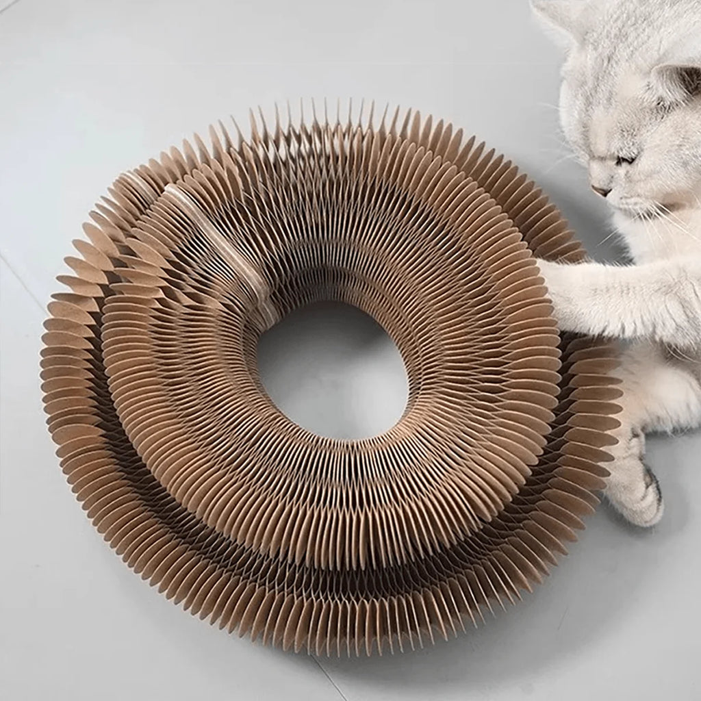 Foldable Cat Scratcher Toy