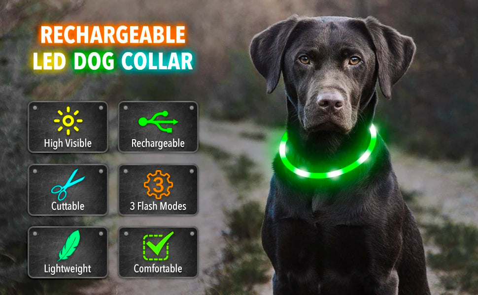 LED Rechargeable Dog Collar