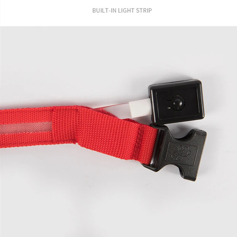 LED Rechargeable Dog Collar