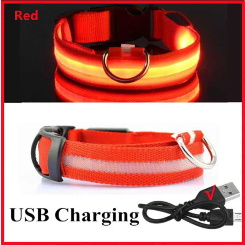 LED Rechargeable Dog Collar