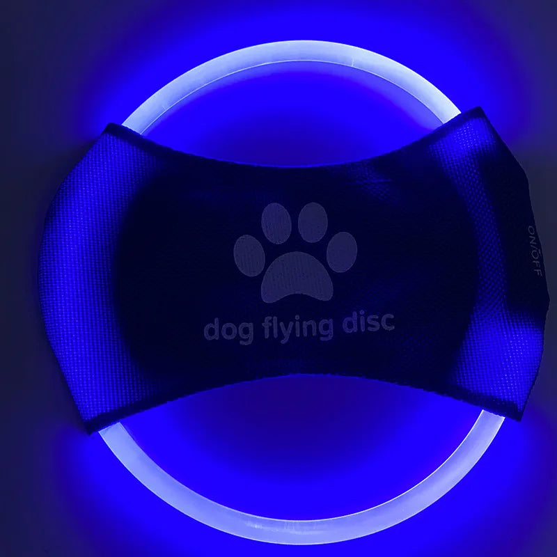 LED Light-Up Dog Frisbee