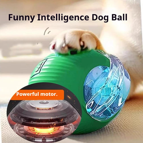 Automatic Interactive Dog Ball