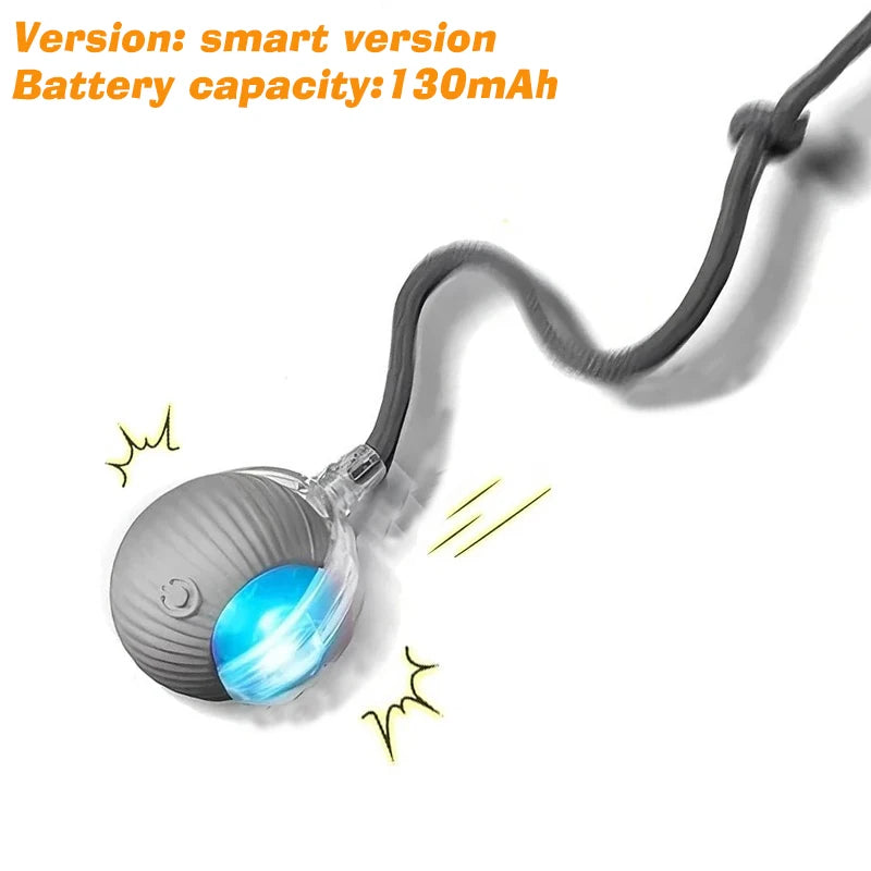 Automatic Interactive Dog Ball