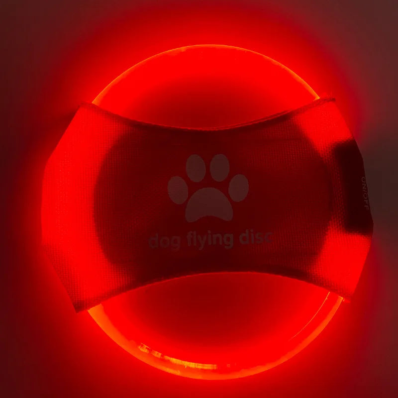 LED Light-Up Dog Frisbee