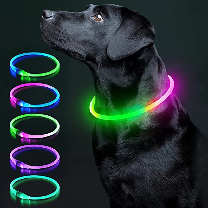 LED Rechargeable Dog Collar