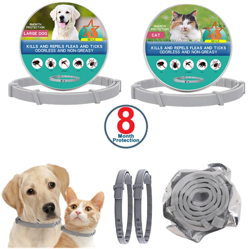 LED Rechargeable Dog Collar