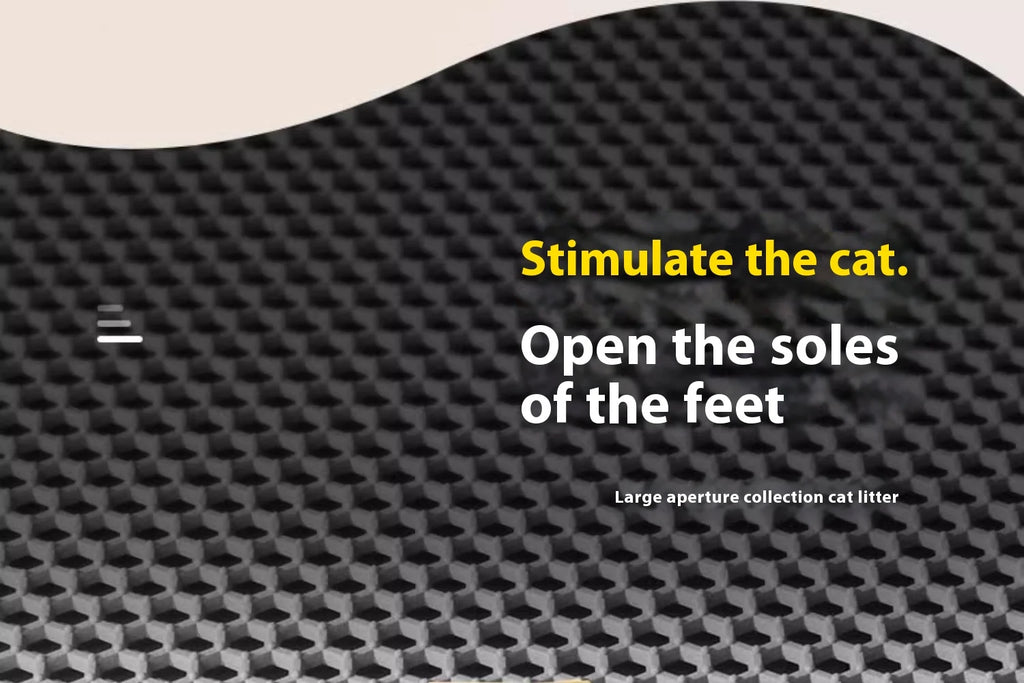 Waterproof Double-Layer Cat Litter Mat