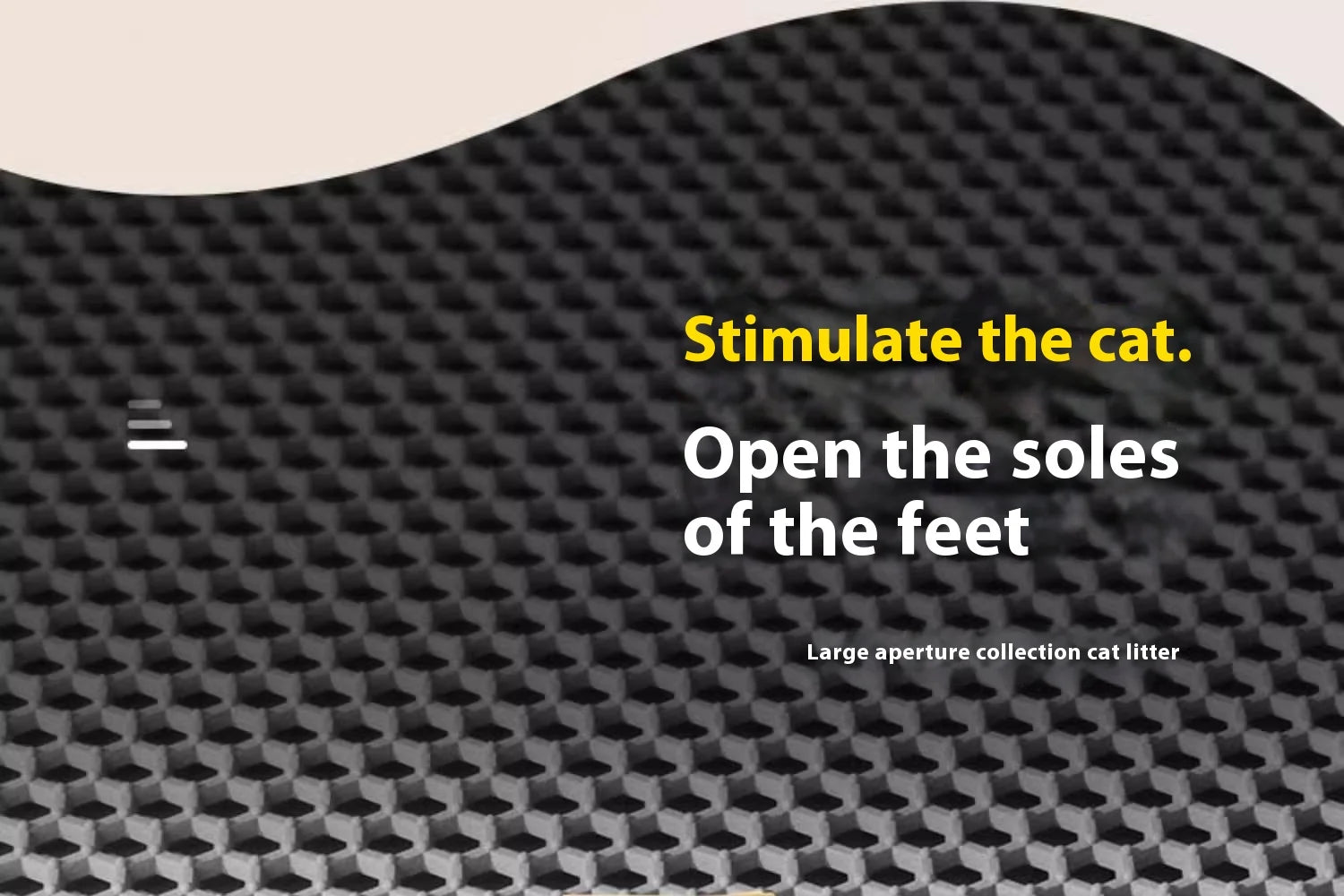 Waterproof Double-Layer Cat Litter Mat