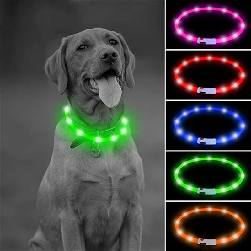 LED Rechargeable Dog Collar