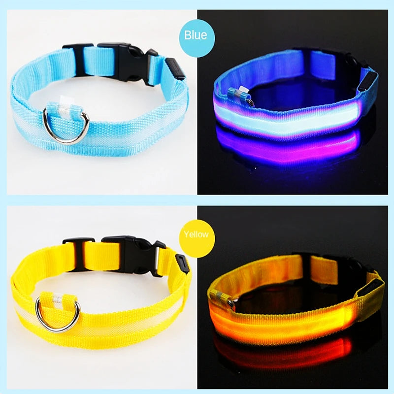 LED Rechargeable Dog Collar