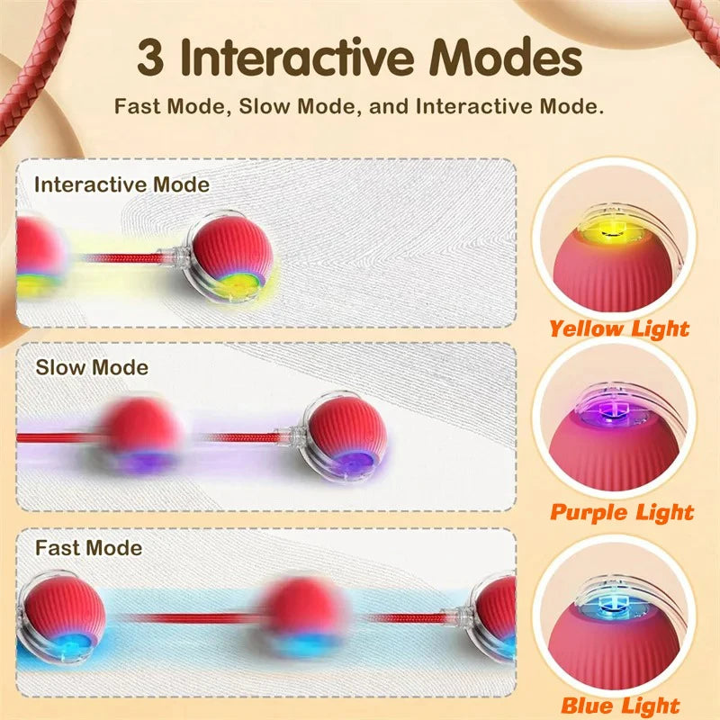 Automatic Interactive Dog Ball