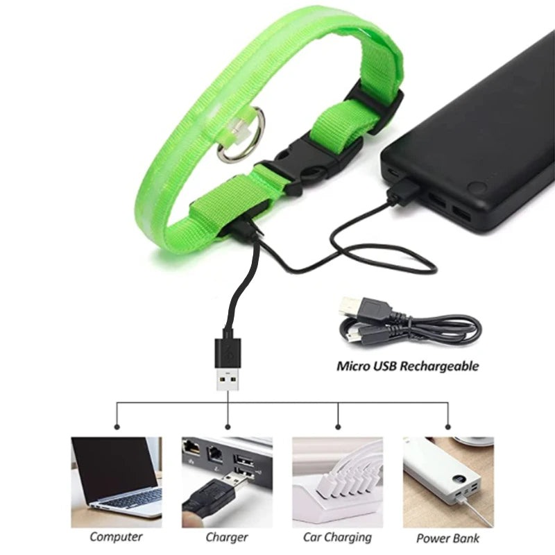 LED Rechargeable Dog Collar