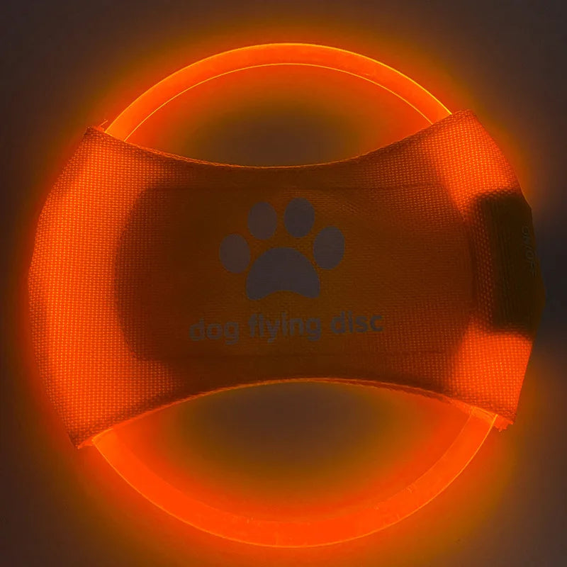 LED Light-Up Dog Frisbee