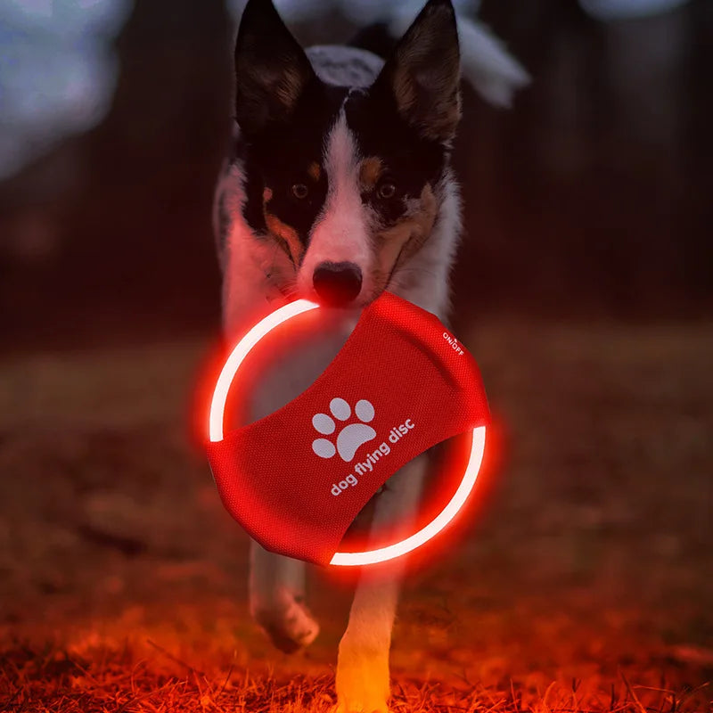 LED Light-Up Dog Frisbee