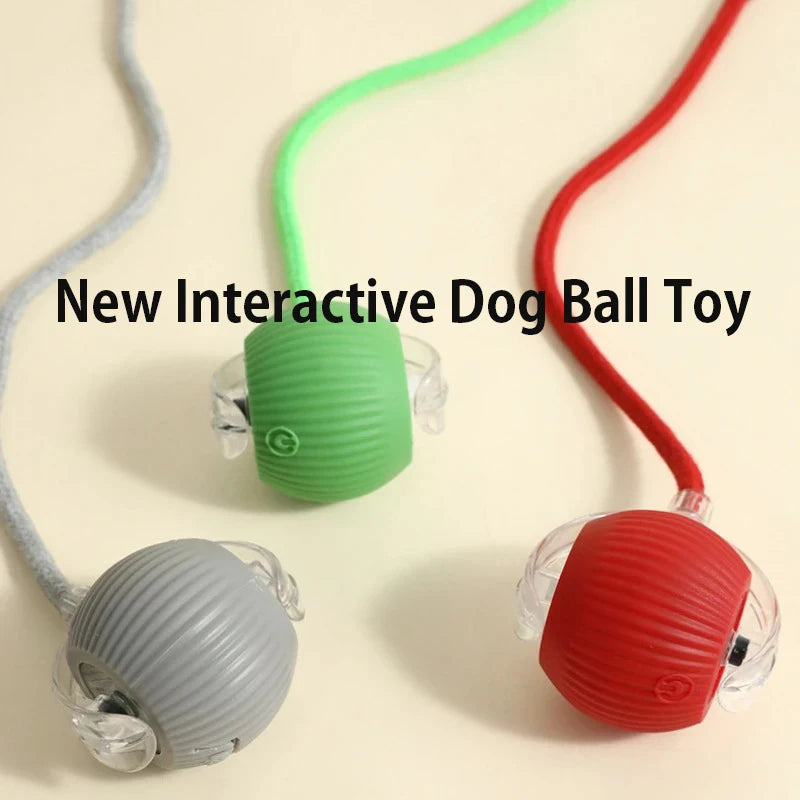 Automatic Interactive Dog Ball