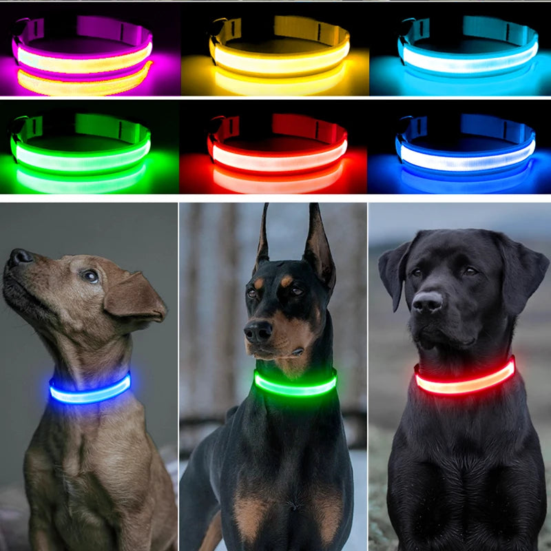LED Rechargeable Dog Collar