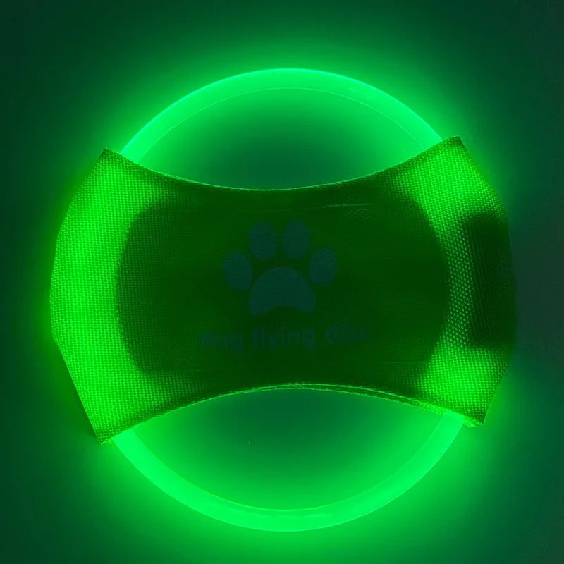 LED Light-Up Dog Frisbee