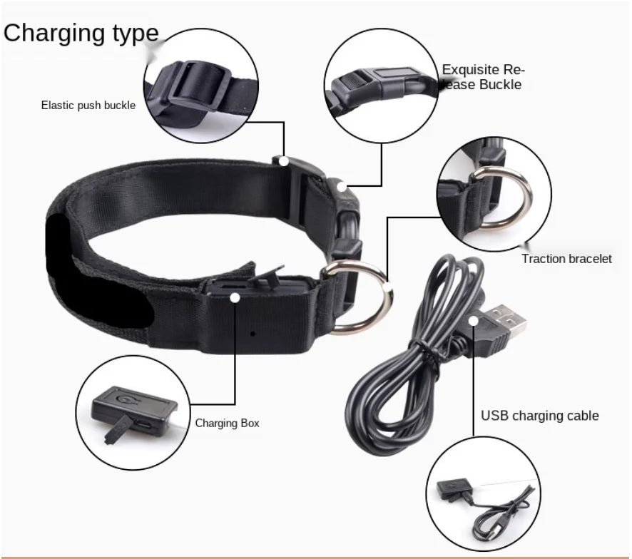 LED Rechargeable Dog Collar
