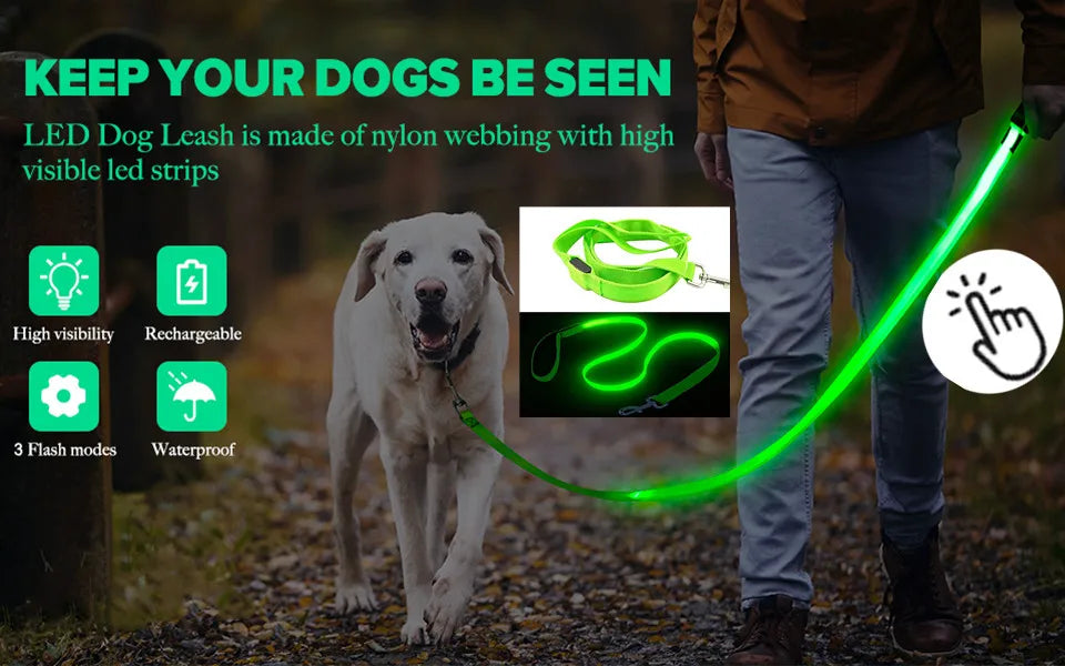 LED Rechargeable Dog Collar