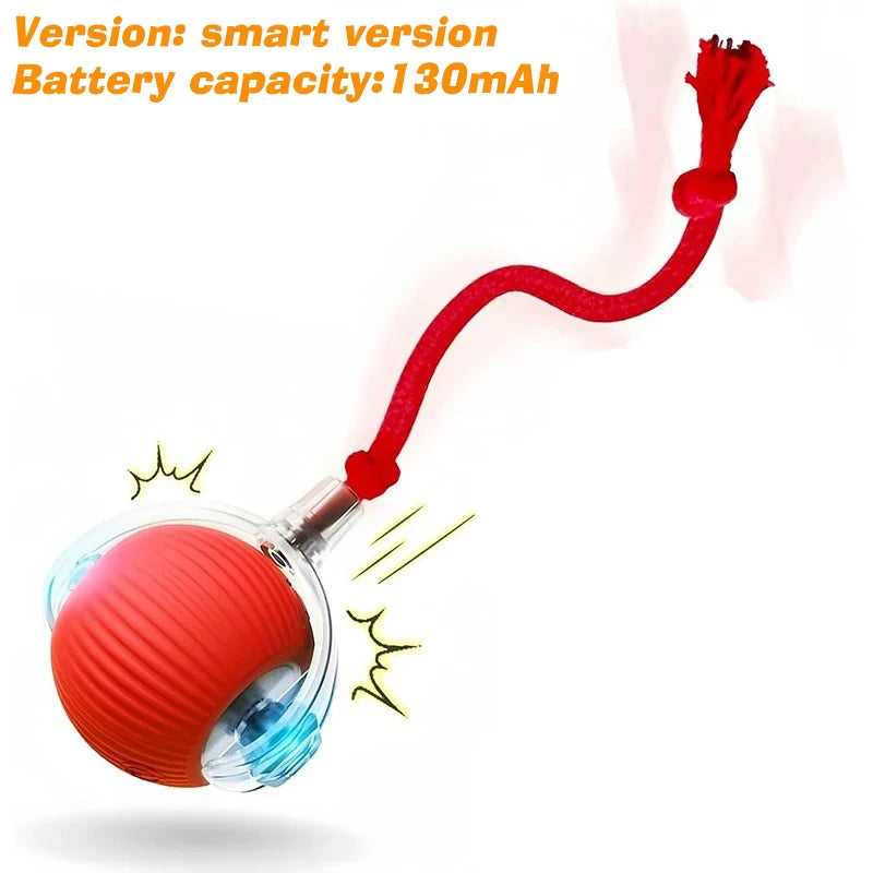 Automatic Interactive Dog Ball