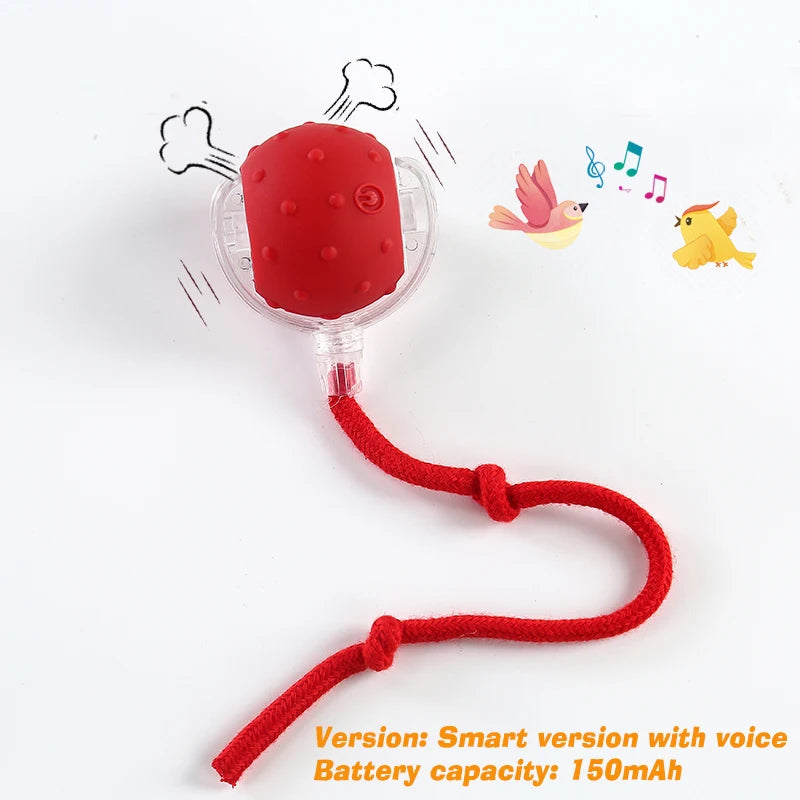 Automatic Interactive Dog Ball
