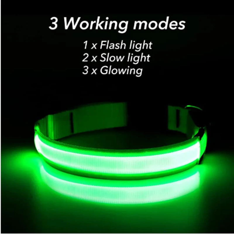 LED Rechargeable Dog Collar