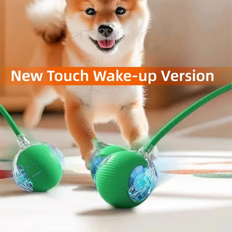 Automatic Interactive Dog Ball