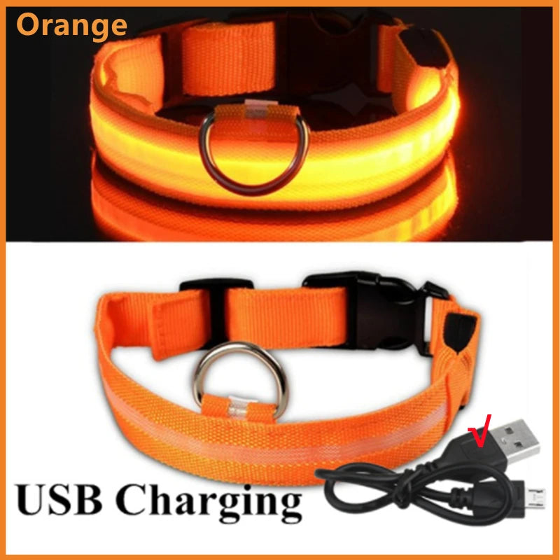 LED Rechargeable Dog Collar