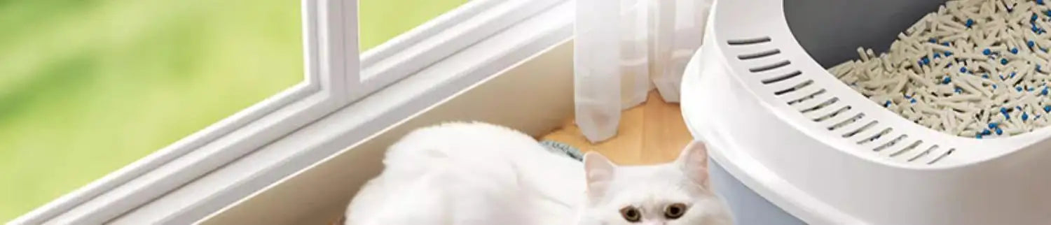 Waterproof Double-Layer Cat Litter Mat