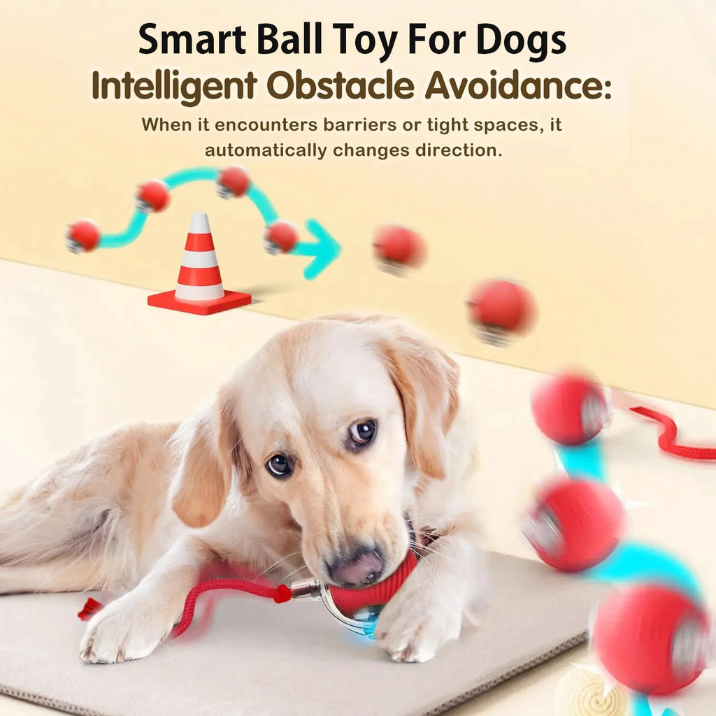 Automatic Interactive Dog Ball