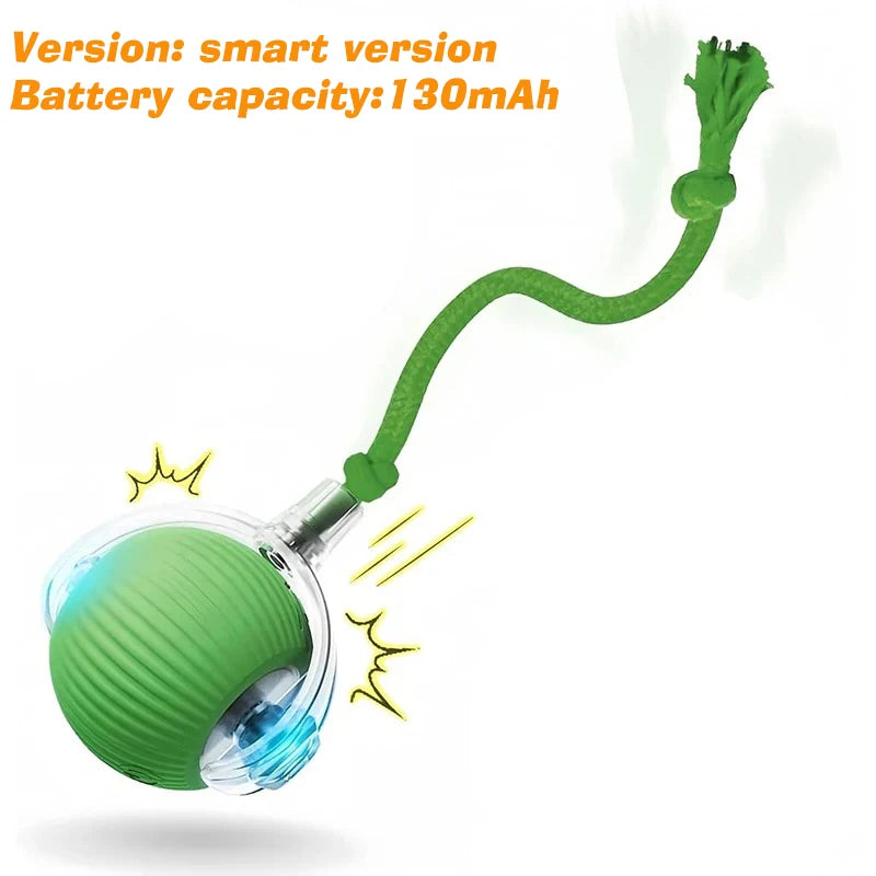 Automatic Interactive Dog Ball