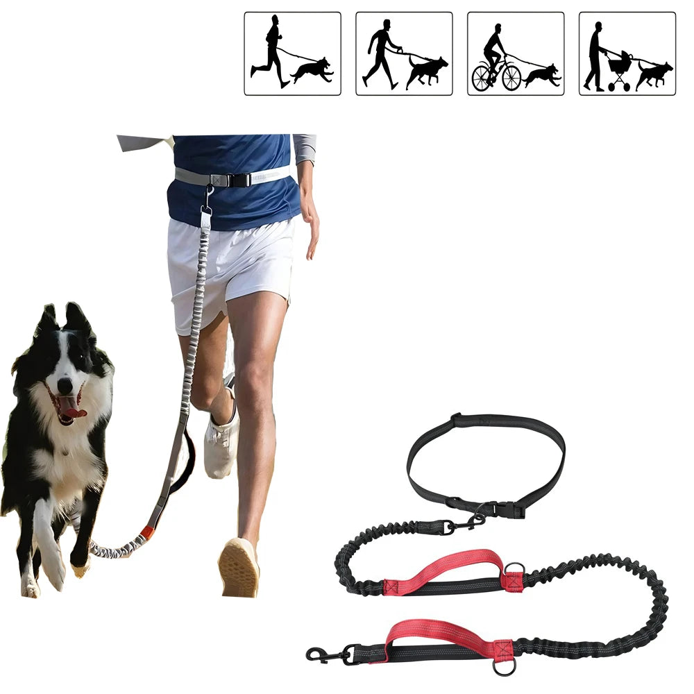 USB Rechargeable Dog Nail Grinder