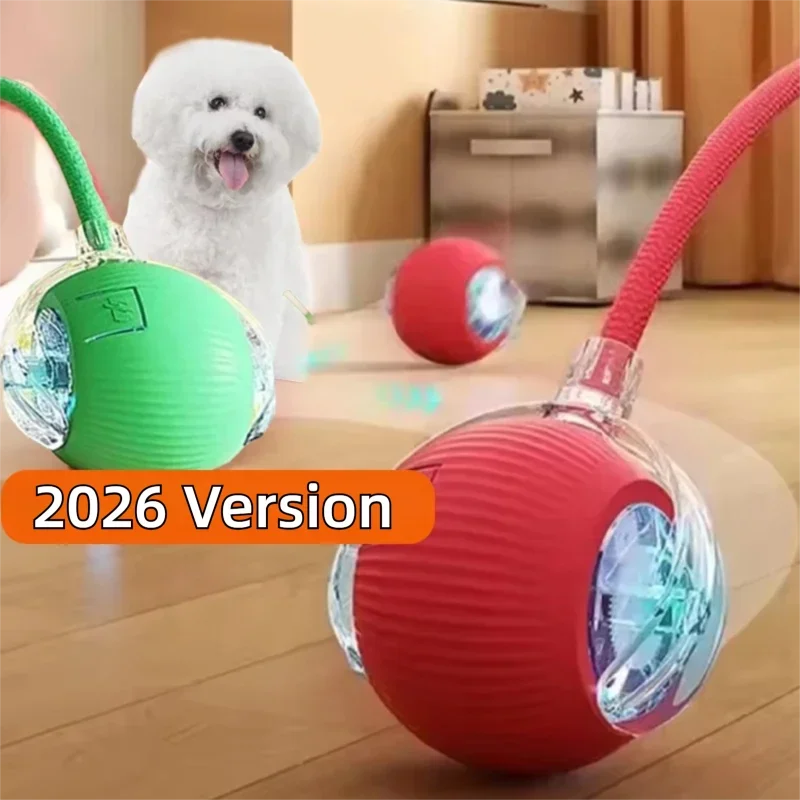 Automatic Interactive Dog Ball