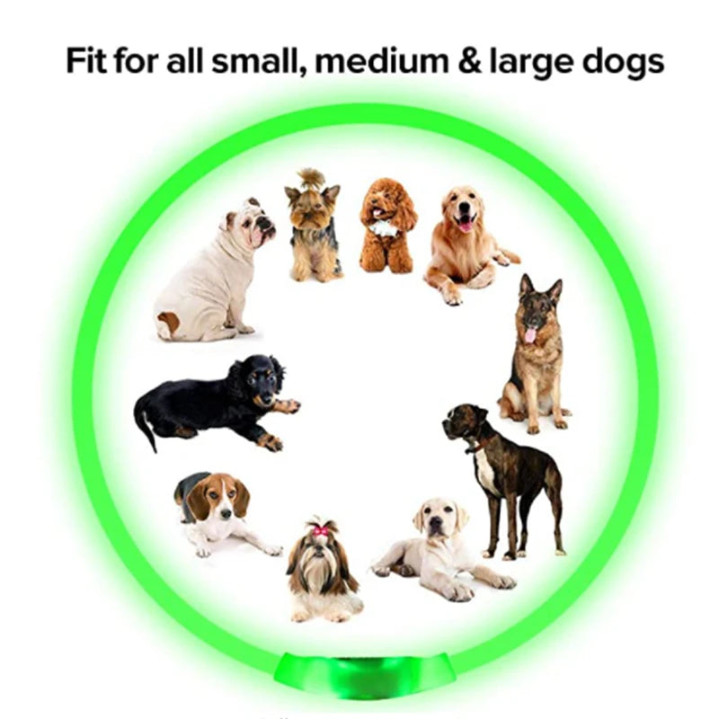 LED Rechargeable Dog Collar