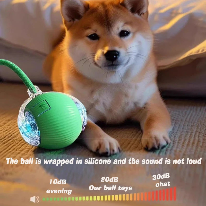 Automatic Interactive Dog Ball