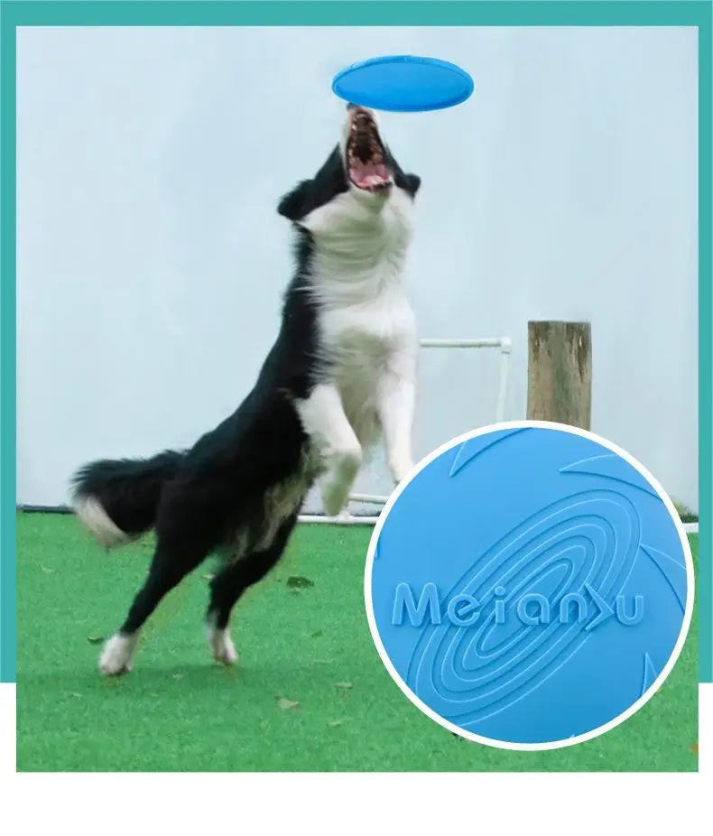 Durable Dog Flying Disc