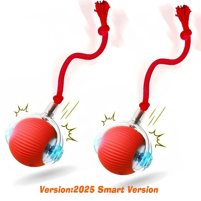 Automatic Interactive Dog Ball